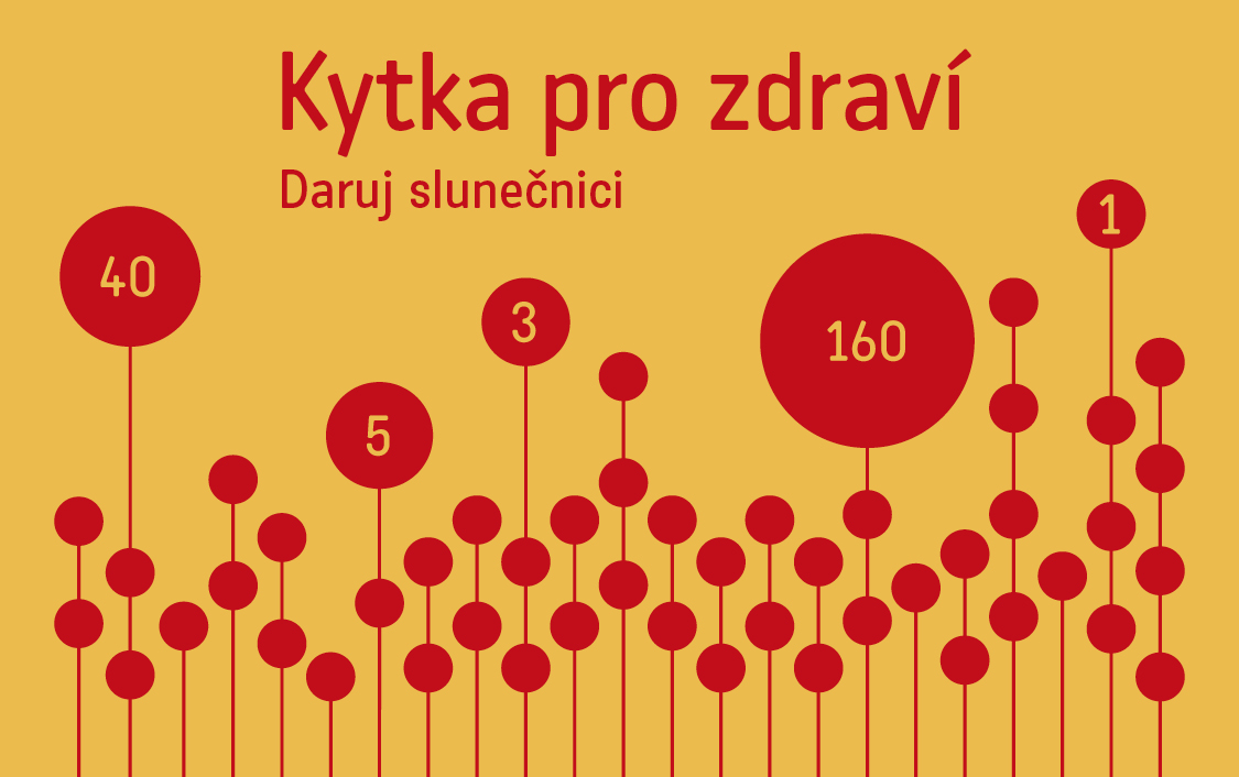 Kytka webNFI 540x339px
